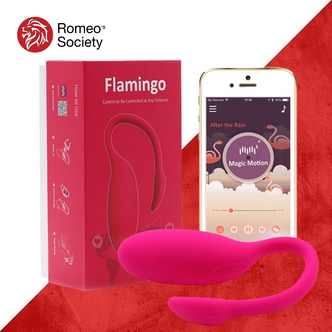 Magic Motion Flamingo (อุปกรณ์สั่นรุ่นฟลามิงโก้ ชาร์จ USB ควบคุมให้กันได้แม้จะอยู่คนละจังหวัด)