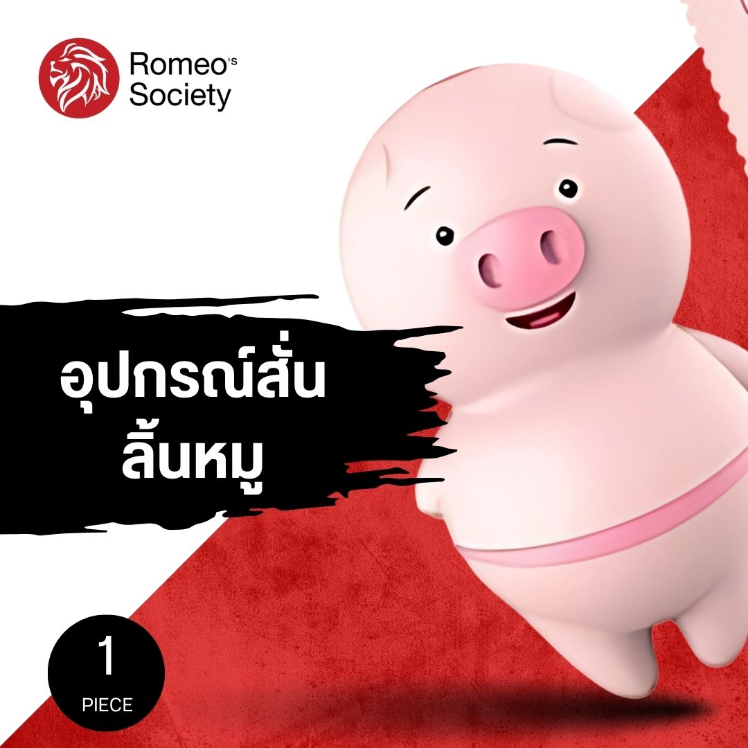 Vibration Massage Piglet (อุปกรณ์สั่นรูปหมู : ชาร์จ USB)