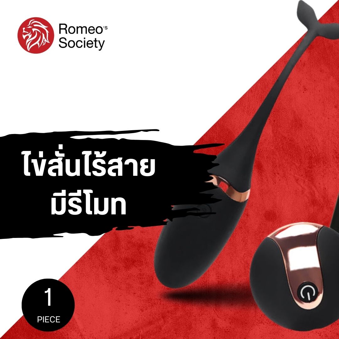 Remote Control Black (ไข่สั่นหางปลา สีดำ ไม่รวมถ่าน AAA 2 ก้อน)